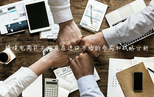跨境電商巨頭蝦皮在進口市場的布局和戰(zhàn)略分析