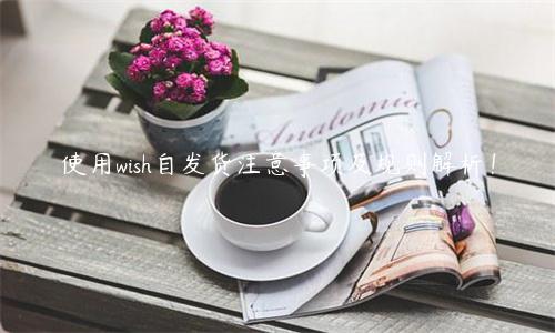 使用wish自發(fā)貨注意事項(xiàng)及規(guī)則解析！