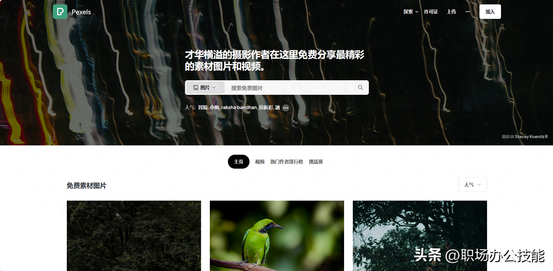 哪里能找到真實(shí)高清的豆?jié){油條圖片？實(shí)用圖片素材網(wǎng)站分享