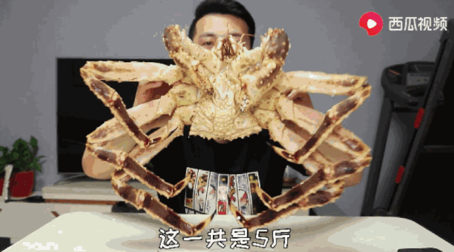 韓小浪開新號了嗎？韓小浪試吃美食視頻分享