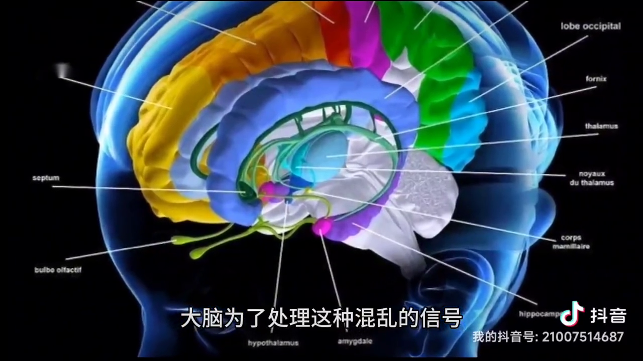 暈輪效應是什么意思？常見暈輪效應舉例
