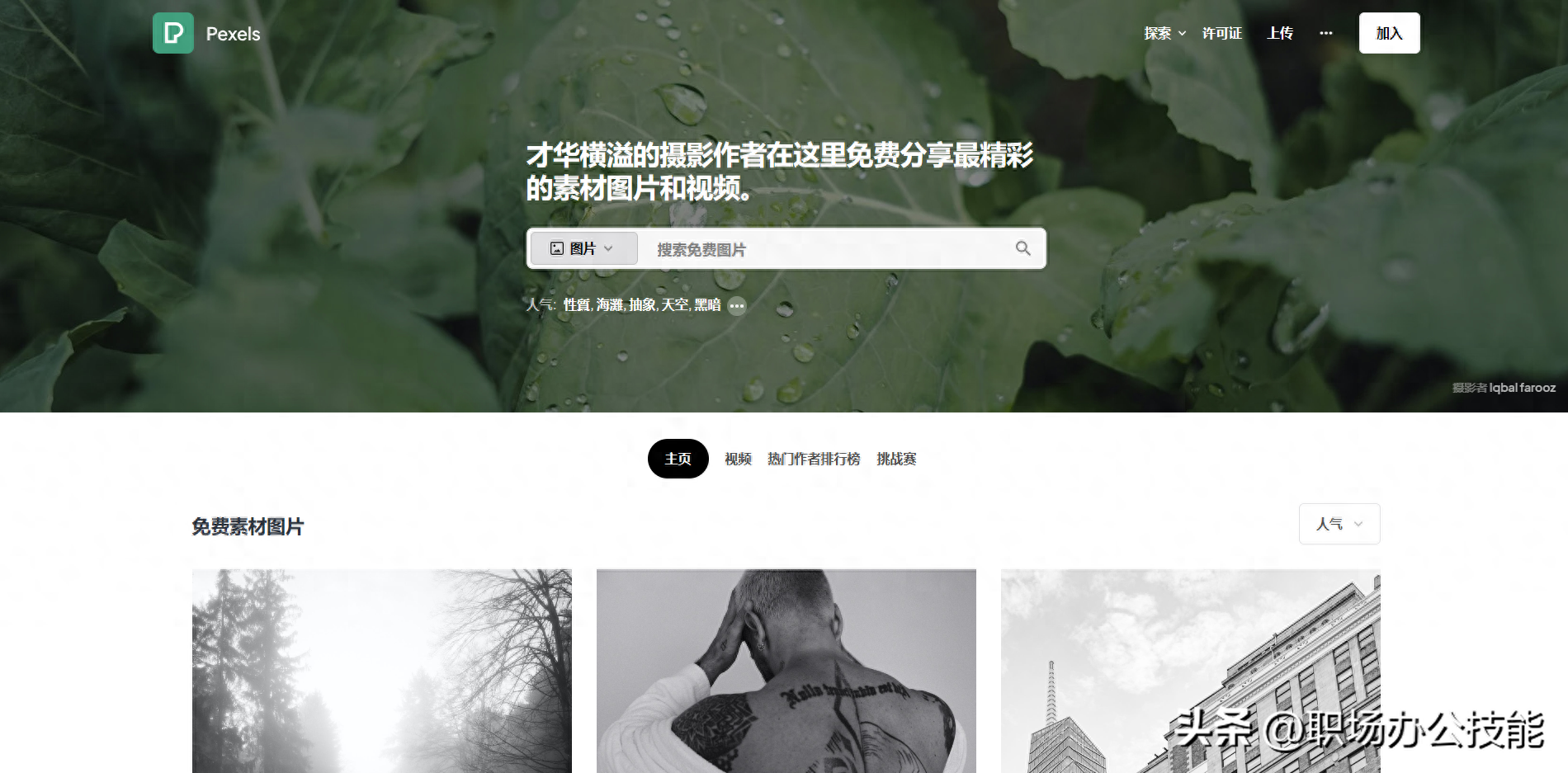 免費高清圖片在哪里找？設計師必備的十個免費高清素材網站