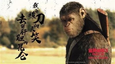 中國風海報怎么設計？中國風海報設計過程及設計元素介紹
